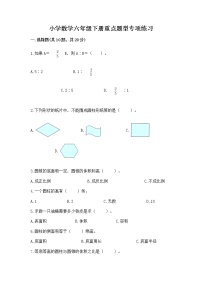 小学数学六年级下册重点题型专项练习及答案（夺冠系列）