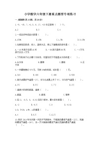 小学数学六年级下册重点题型专项练习（典优）