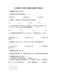 小学数学六年级下册重点题型专项练习含完整答案【易错题】