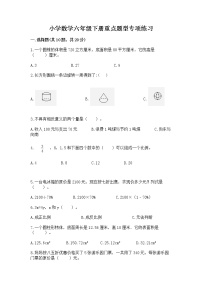 小学数学六年级下册重点题型专项练习含精品答案