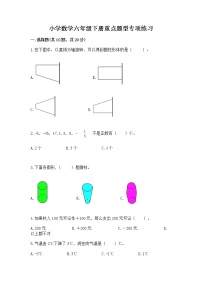 小学数学六年级下册重点题型专项练习及参考答案