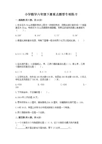 小学数学六年级下册重点题型专项练习含完整答案【典优】