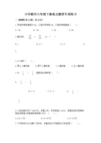 小学数学六年级下册重点题型专项练习及答案（易错题）