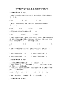 小学数学六年级下册重点题型专项练习含完整答案（名师系列）