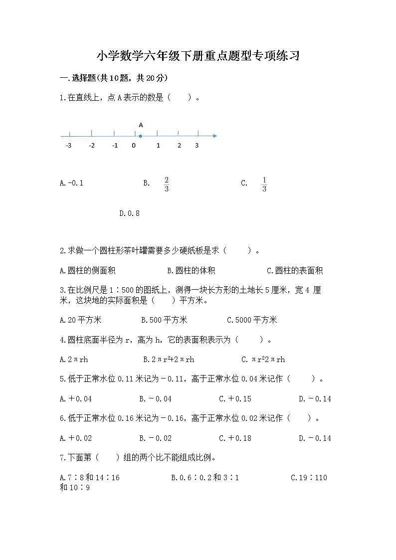小学数学六年级下册重点题型专项练习含答案01