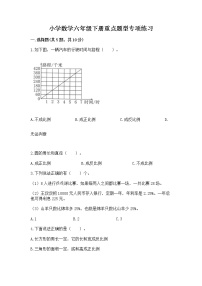 小学数学六年级下册重点题型专项练习含完整答案（名校卷）