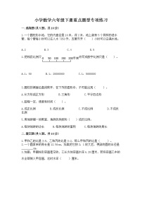 小学数学六年级下册重点题型专项练习含完整答案【必刷】