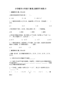 小学数学六年级下册重点题型专项练习含完整答案【名师系列】