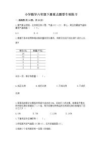 小学数学六年级下册重点题型专项练习及答案（精选题）