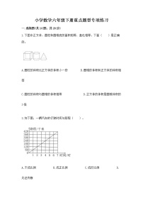 小学数学六年级下册重点题型专项练习及答案