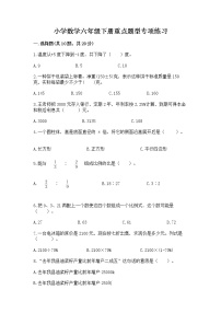 小学数学六年级下册重点题型专项练习及答案【典优】