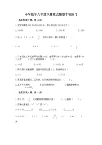 小学数学六年级下册重点题型专项练习及完整答案【必刷】