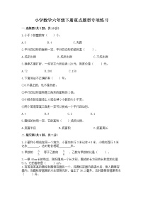 小学数学六年级下册重点题型专项练习及完整答案【名校卷】