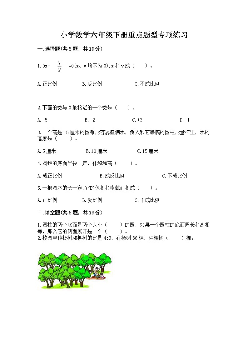 小学数学六年级下册重点题型专项练习含完整答案（典优）01
