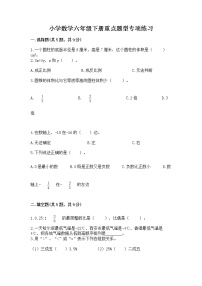 小学数学六年级下册重点题型专项练习及完整答案【夺冠】