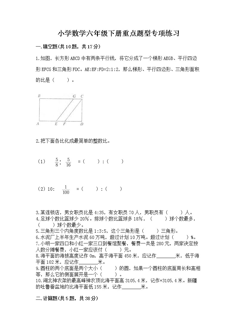 小学数学六年级下册重点题型专项练习精品【典优】第1页