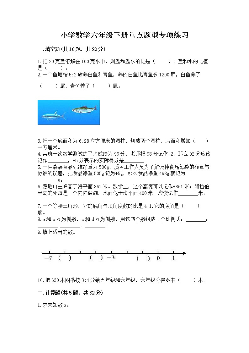 小学数学六年级下册重点题型专项练习加答案（能力提升）第1页