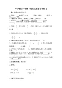 小学数学六年级下册重点题型专项练习加答案