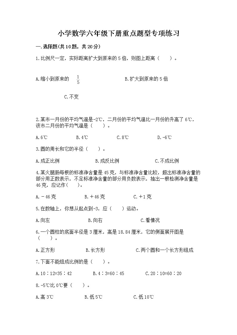 小学数学六年级下册重点题型专项练习加答案解析第1页