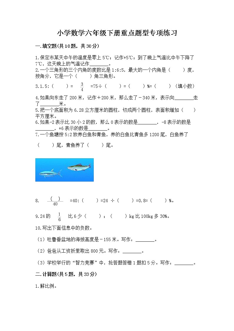 小学数学六年级下册重点题型专项练习加答案（研优卷）第1页