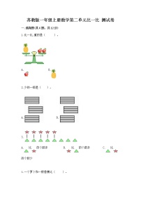 小学数学第二单元 《比一比》当堂检测题