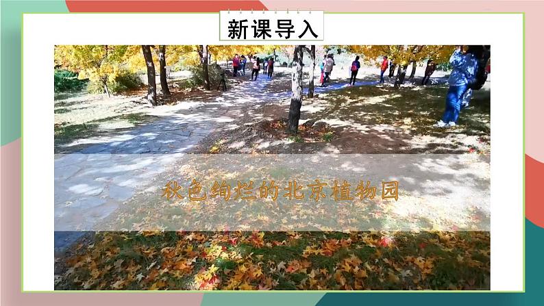 冀教4年级数学上册 三 解决问题   参观植物园 PPT课件02