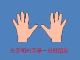 一年級下冊數(shù)學(xué)課件-5.1   左與右  ▏滬教版 (共19張PPT)