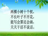 一年級下冊數(shù)學(xué)課件-5.1   左與右  ▏滬教版 (共19張PPT) (2)