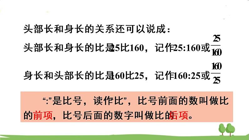 青岛版六年级数学上册 四 人体的奥秘——比   信息窗1 比的意义和基本性质 PPT课件05