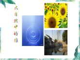 北师大版数学六年级上册  圆的复习（优质课件）