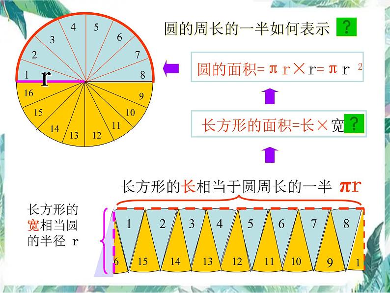 北师大版 六年级上册数学课件-圆的整理和复习课件03