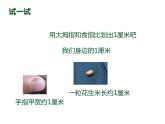 一年級(jí)下冊(cè)數(shù)學(xué)課件-5.5   線段  ▏滬教版  （11張PPT）