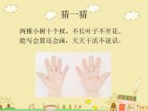 一年级下册数学课件-5.1   左与右  ▏沪教版 (共15张PPT) (6)