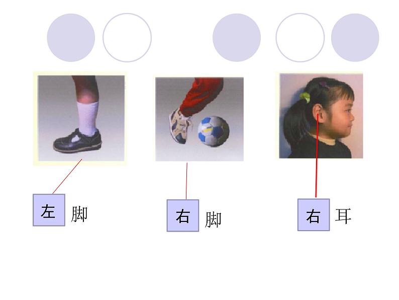 一年级下册数学课件-5.1   左与右  ▏沪教版 (共15张PPT)06