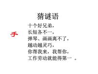 小学数学左与右课前预习ppt课件