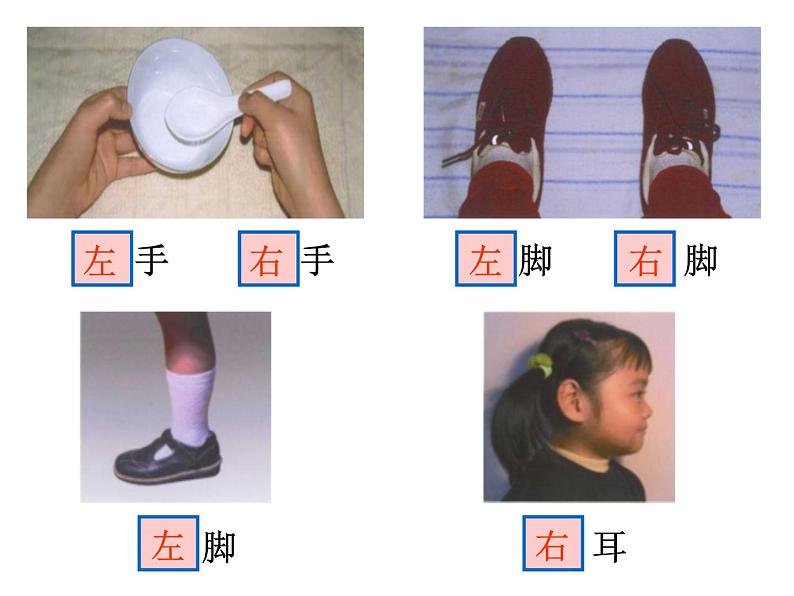 一年级下册数学课件-5.1   左与右  ▏沪教版 (共16张PPT) (1)第5页