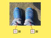一年级下册数学课件-5.1   左与右  ▏沪教版 (共17张PPT) (2)