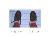 一年级下册数学课件-5.1   左与右  ▏沪教版 (共16张PPT) (3)