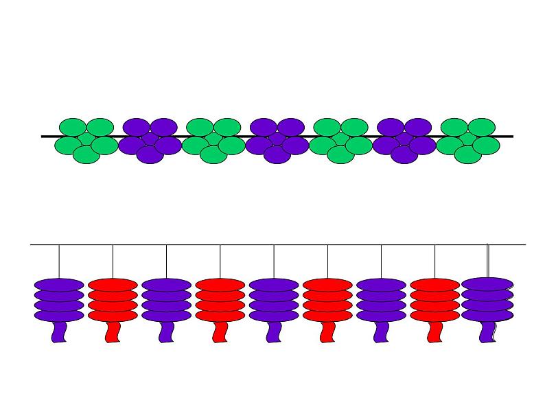 一年级数学下册课件-7 找规律（96）-人教版(共27张PPT)第5页