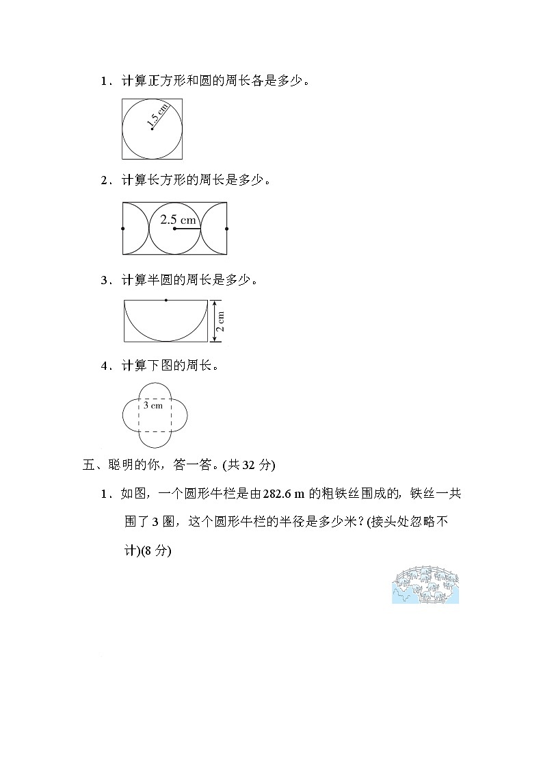 北师大版六年级数学上册期末复习知识核心考点---1．圆的周长的计算 试卷03