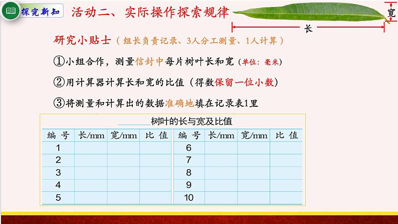 【精品课件】树叶中的比-苏教版六年级上册数学精品课件第5页