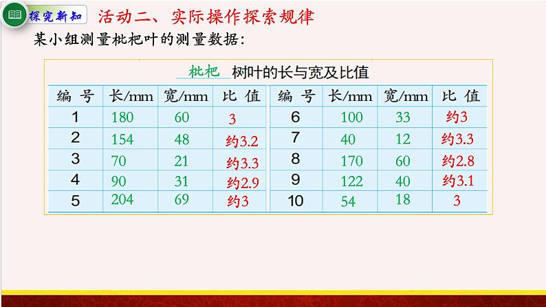 【精品课件】树叶中的比-苏教版六年级上册数学精品课件第6页