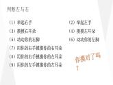 一年级下册数学课件-5.1   左与右  ▏沪教版 (共10张PPT)