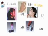 一年级下册数学课件-5.1   左与右  ▏沪教版 (共10张PPT)