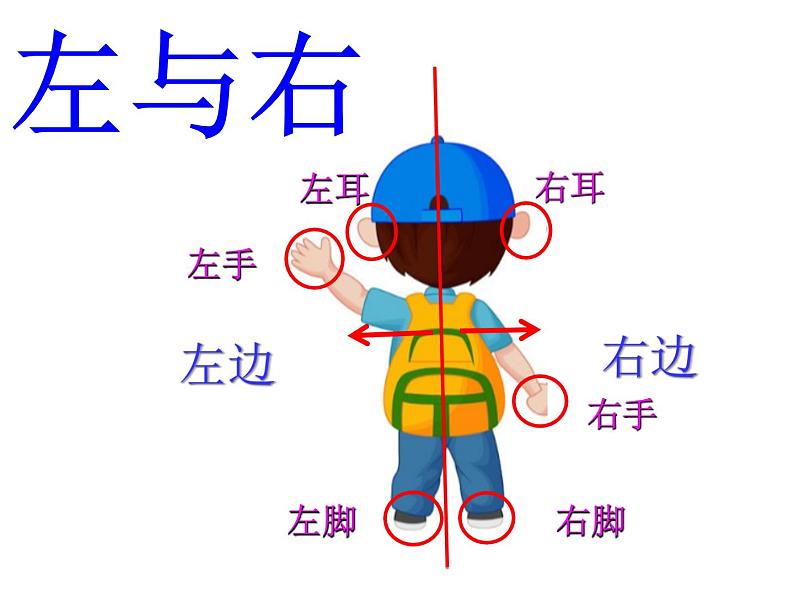 一年级下册数学课件-5.1   左与右  ▏沪教版 (共12张PPT)02