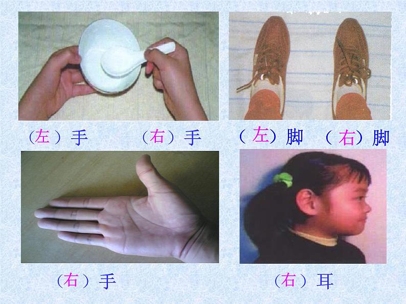 一年级下册数学课件-5.1   左与右  ▏沪教版 (共12张PPT)03