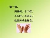 一年级下册数学课件-5.1   左与右  ▏沪教版 (共12张PPT) (4)
