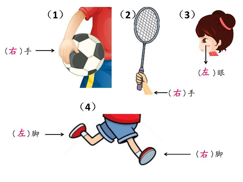 一年级下册数学课件-5.1   左与右  ▏沪教版 (共13张PPT)04