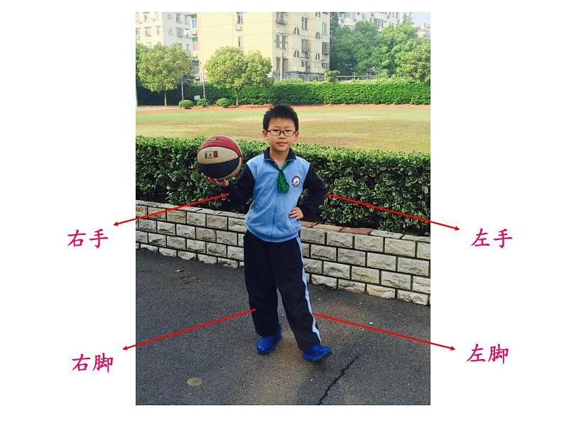 一年级下册数学课件-5.1   左与右  ▏沪教版 (共13张PPT)05