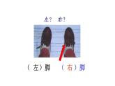 一年級(jí)下冊(cè)數(shù)學(xué)課件-5.1   左與右  ▏滬教版 (共12張PPT)